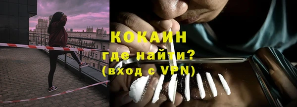 гидра Богданович