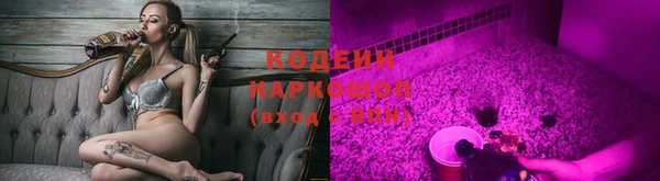 гидра Богданович