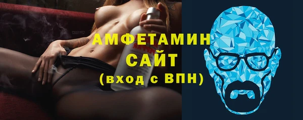 гидра Богданович
