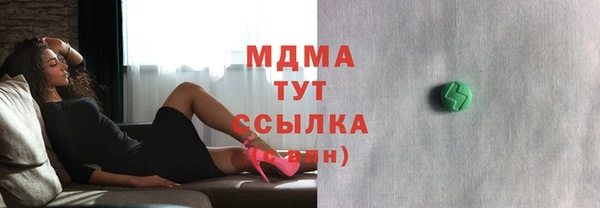гидра Богданович