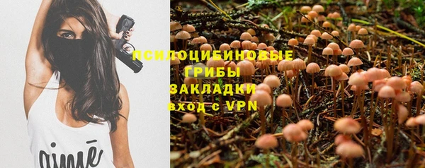 гидра Богданович