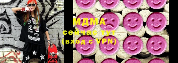 гидра Богданович
