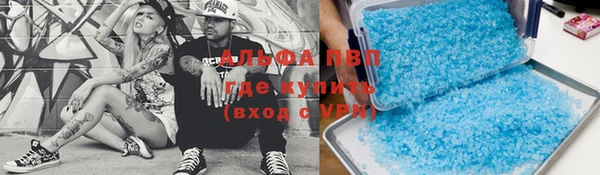 гидра Богданович