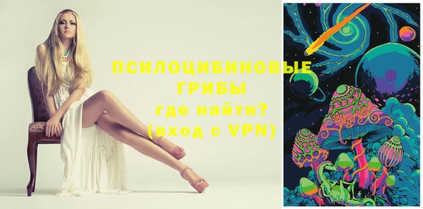 гидра Богданович