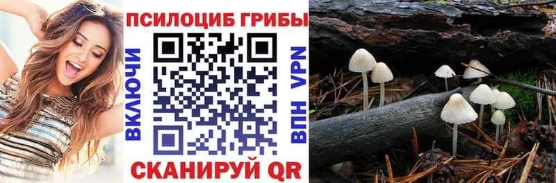 Галлюциногенные грибы мухоморы  Пересвет 